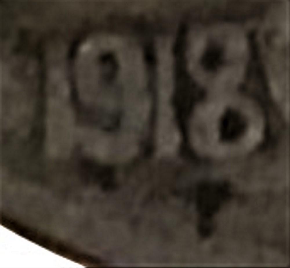 1918-D-Buffalo.-Am-I-Seeing-Things?
